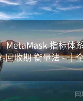 【台账】MetaMask 指标体系 - 暴露面-余震-回收期 衡量法 - ｜全景图