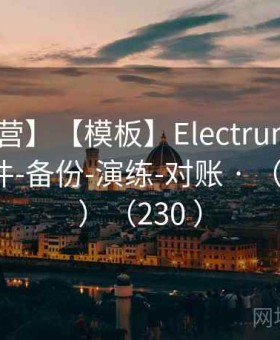 【实训营】【模板】Electrum 年度检查 · 固件-备份-演练-对账 · （2025 版）（230 ）
