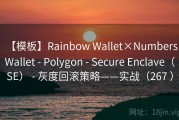 【模板】Rainbow Wallet×Numbers Wallet - Polygon - Secure Enclave（SE） - 灰度回滚策略——实战（267 ）