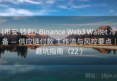 (币安 钱包)-Binance Web3 Wallet 冷备 — 供应链付款 工作流与风控要点｜避坑指南（22 ）