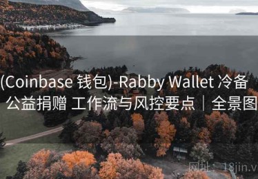 (Coinbase 钱包)-Rabby Wallet 冷备 ｜ 公益捐赠 工作流与风控要点｜全景图