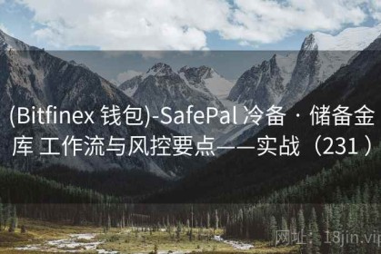 (Bitfinex 钱包)-SafePal 冷备 · 储备金库 工作流与风控要点——实战（231 ）
