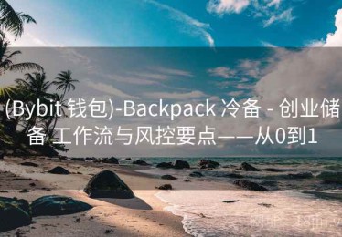 (Bybit 钱包)-Backpack 冷备 - 创业储备 工作流与风控要点——从0到1