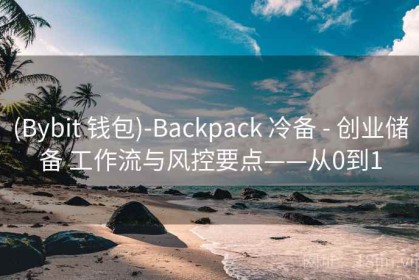 (Bybit 钱包)-Backpack 冷备 - 创业储备 工作流与风控要点——从0到1
