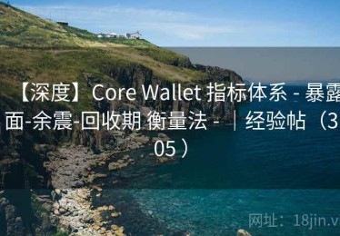 【深度】Core Wallet 指标体系 - 暴露面-余震-回收期 衡量法 - ｜经验帖（305 ）