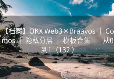 【档案】OKX Web3×Braavos ｜ Cosmos ｜ 隐私分层 ｜ 模板合集——从0到1（132 ）