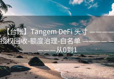 【台账】Tangem DeFi 头寸 ———— 授权回收-额度治理-白名单 ———— ————从0到1