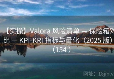 【实操】Valora 风险清单 — 保险箱对比 — KPI-KRI 指标与量化（2025 版）（154 ）