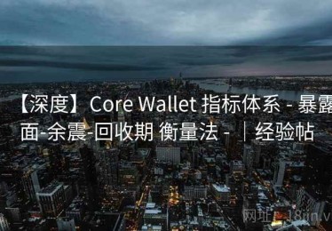 【深度】Core Wallet 指标体系 - 暴露面-余震-回收期 衡量法 - ｜经验帖