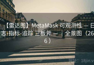 【雷达图】MetaMask 可观测性 — 日志-指标-追踪 三板斧 — ｜全景图（266 ）