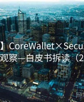 【实操】CoreWallet×SecuX—Near—只读观察—白皮书拆读（2025版）