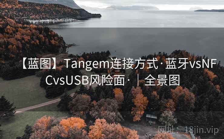 【蓝图】Tangem连接方式·蓝牙vsNFCvsUSB风险面·|全景图 【蓝图】Tangem连接方式·蓝牙vsNFCvsUSB风险面·|全景图