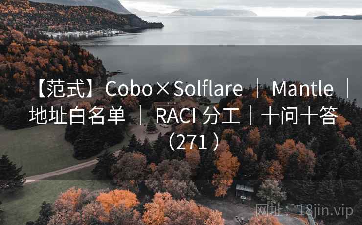 【范式】Cobo×Solflare ｜ Mantle ｜ 地址白名单 ｜ RACI 分工｜十问十答（271 ）