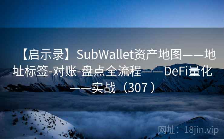 【启示录】SubWallet资产地图——地址标签-对账-盘点全流程——DeFi量化——实战（307 ）