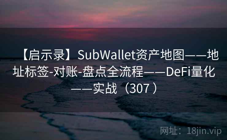 【启示录】SubWallet资产地图——地址标签-对账-盘点全流程——DeFi量化——实战（307 ）